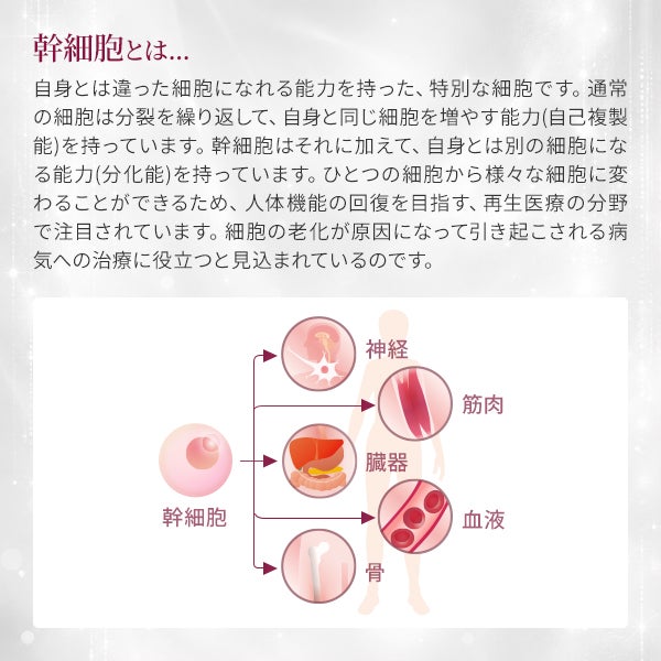 セルロジーコスメ] リッチエッセンス 100mL（業務用)の通販｜セブン 