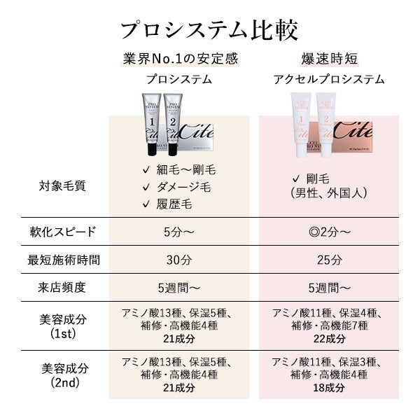 [Cite] アクセルプロシステム