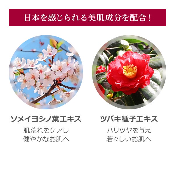 [SEVEN BEAUTY PRO] マッサージノイル 日本製R 無香料 1L