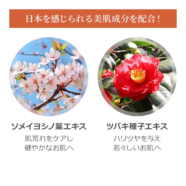 [SEVEN BEAUTY PRO] ウォーターソルブルマッサージオイル 日本製R 無香料 1L
