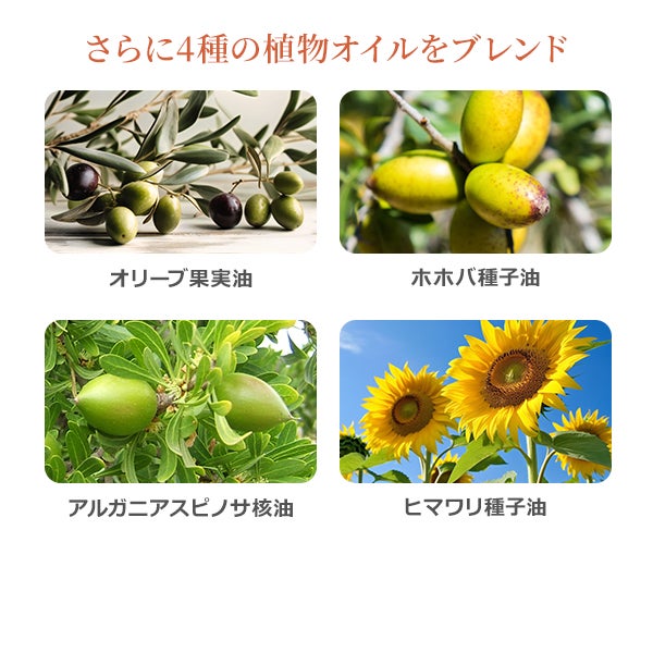 [SEVEN BEAUTY PRO] ウォーターソルブルマッサージオイル 日本製R 無香料 1L