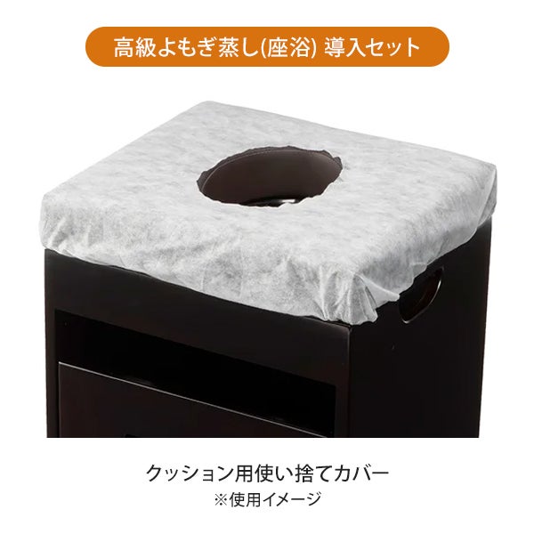 高級よもぎ蒸し (座浴) 導入セットA (椅子＋ヒーター＋河南省産ヨモギ 