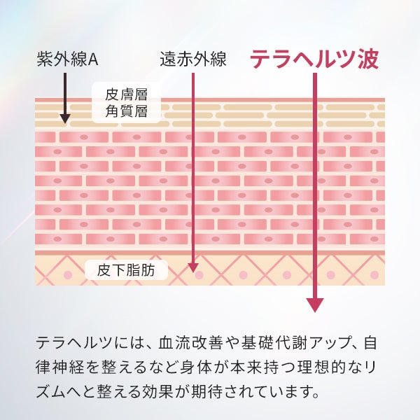 [テラリフト] プレミアム フェイスローラー