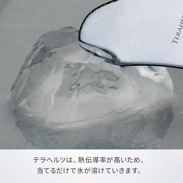 [テラリフト] プレミアム フェイスローラー