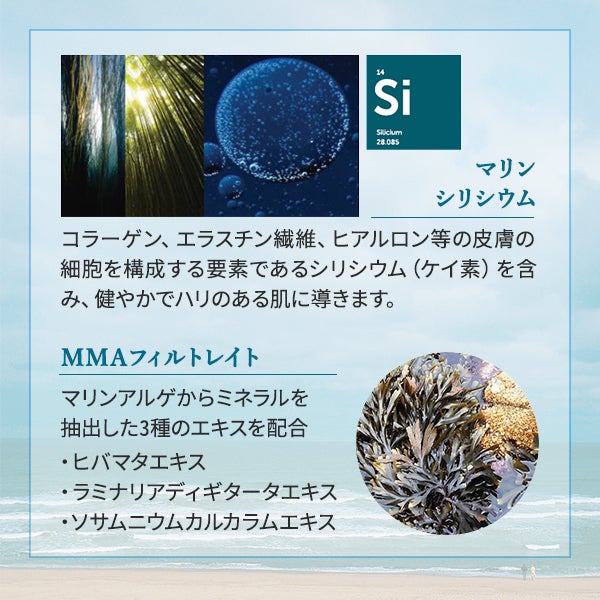 タルゴ＞ ソワンルヴァージュ ナイトクリーム(リフィル) 50mLの通販 