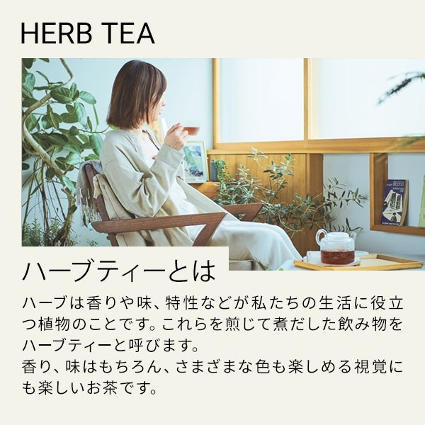 [生活の木] おいしいハーブティー ハッピーセレブレーション 10個入り