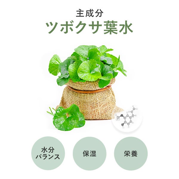 [USOLAB] バイオインテンシブ フォーミングK クレンザー 1000mL
