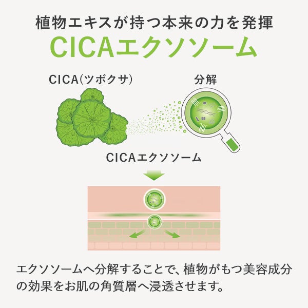 [USOLAB] バイオプレミアム K アンプル 500mL