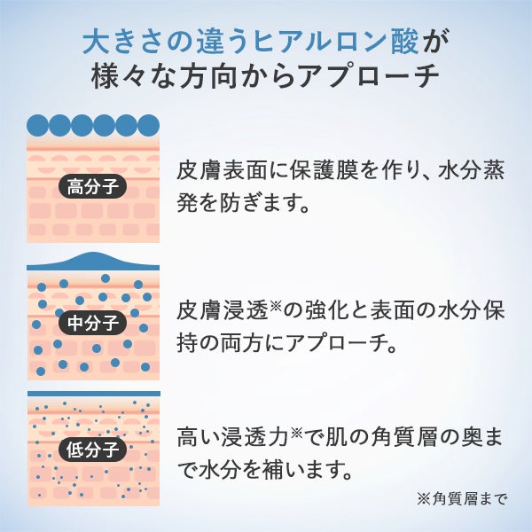 USOLAB] バイオモイスチャライジング ヒアルロンクリーム 250mLの通販 