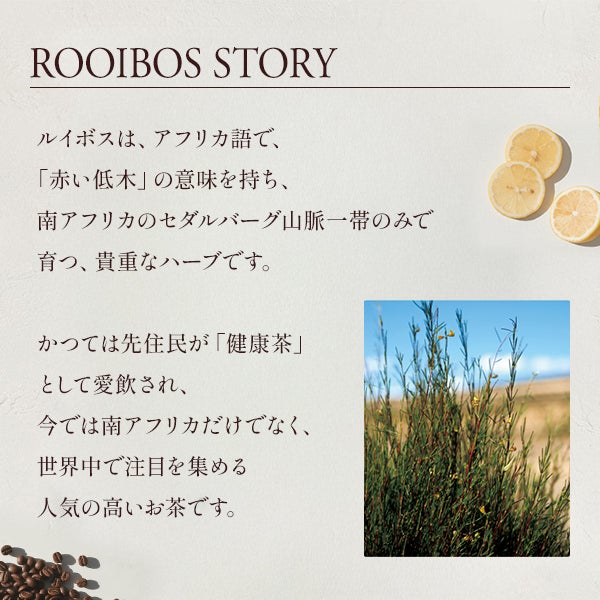 [生活の木] ルイボスバニラモカ 10包入り