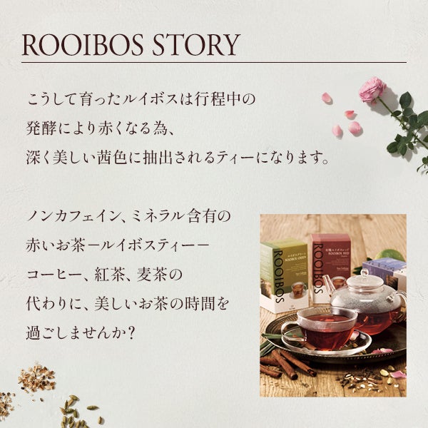 [生活の木] ルイボスバニラモカ 10包入り