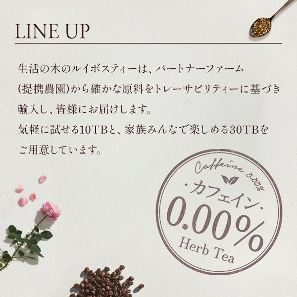 [生活の木] ルイボスバニラモカ 10包入り